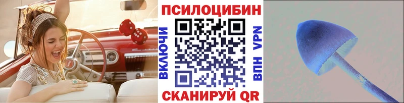 Псилоцибиновые грибы Cubensis  Юрьев-Польский 